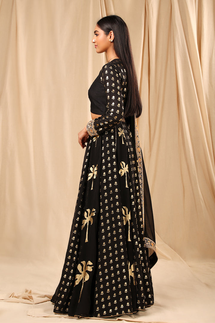 Black Coco Lehenga Set